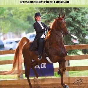 Meet your Posher, Piper